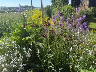 Baumpflege Firma Blumen