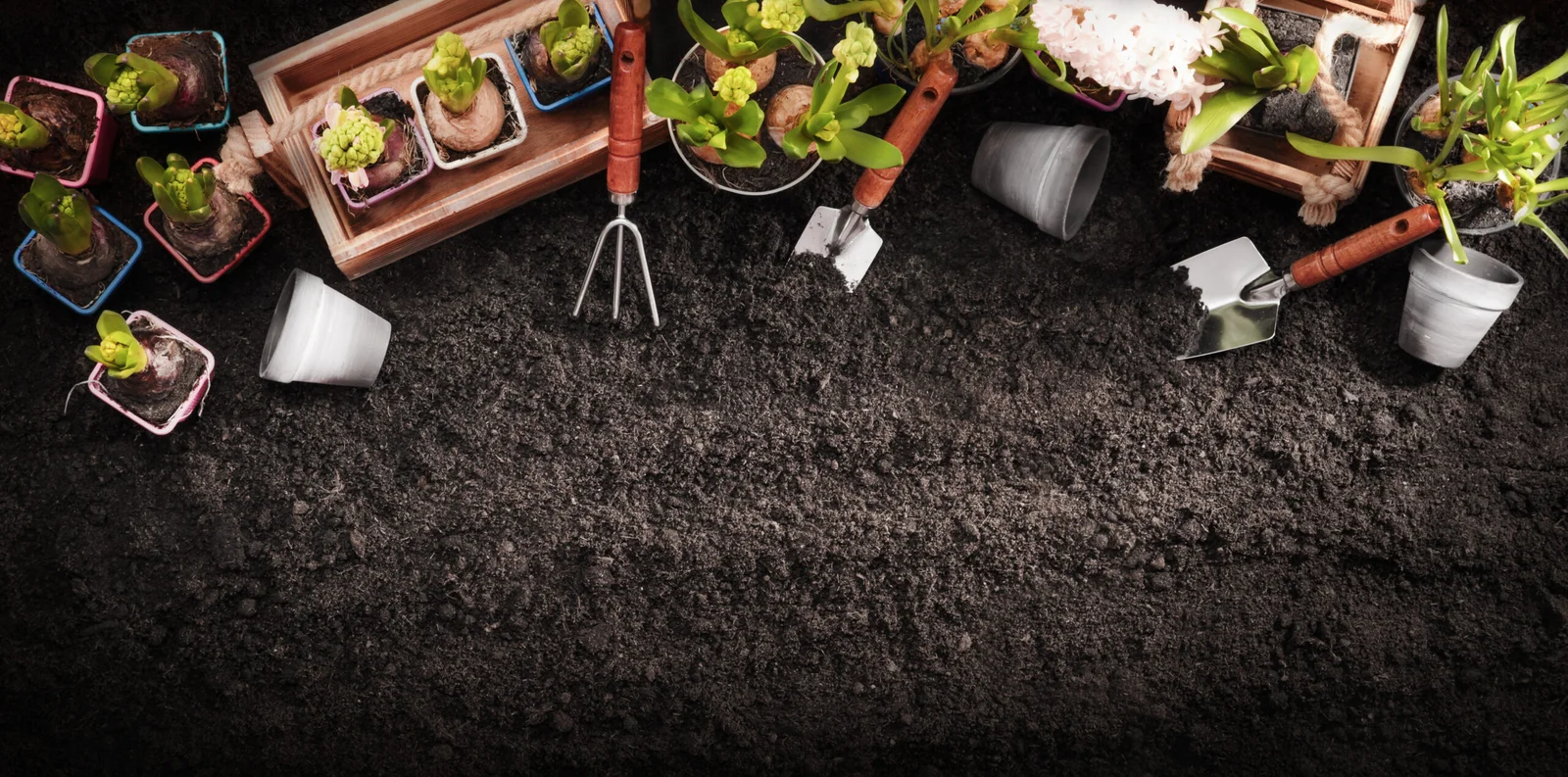 Baumpflege Firma Gartenbau