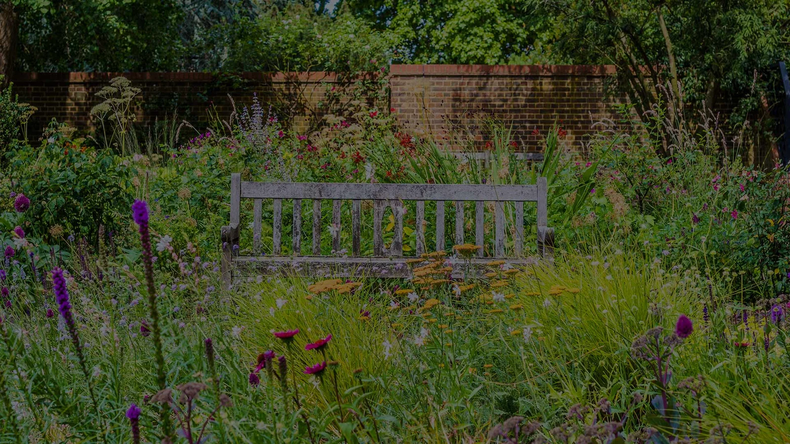 Baumpflege Firma Nature