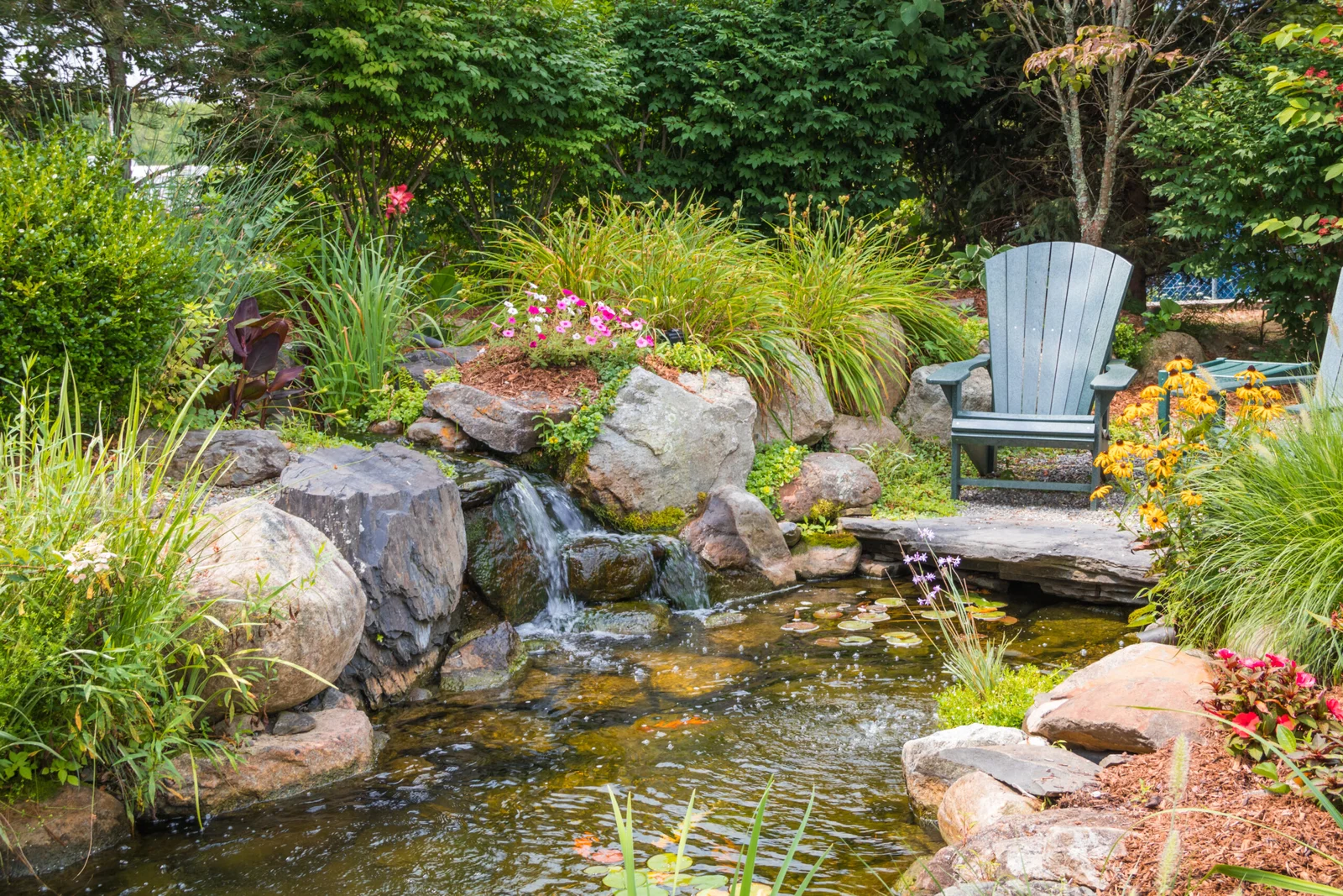 Wasser mit Garten heimische Pflanzen