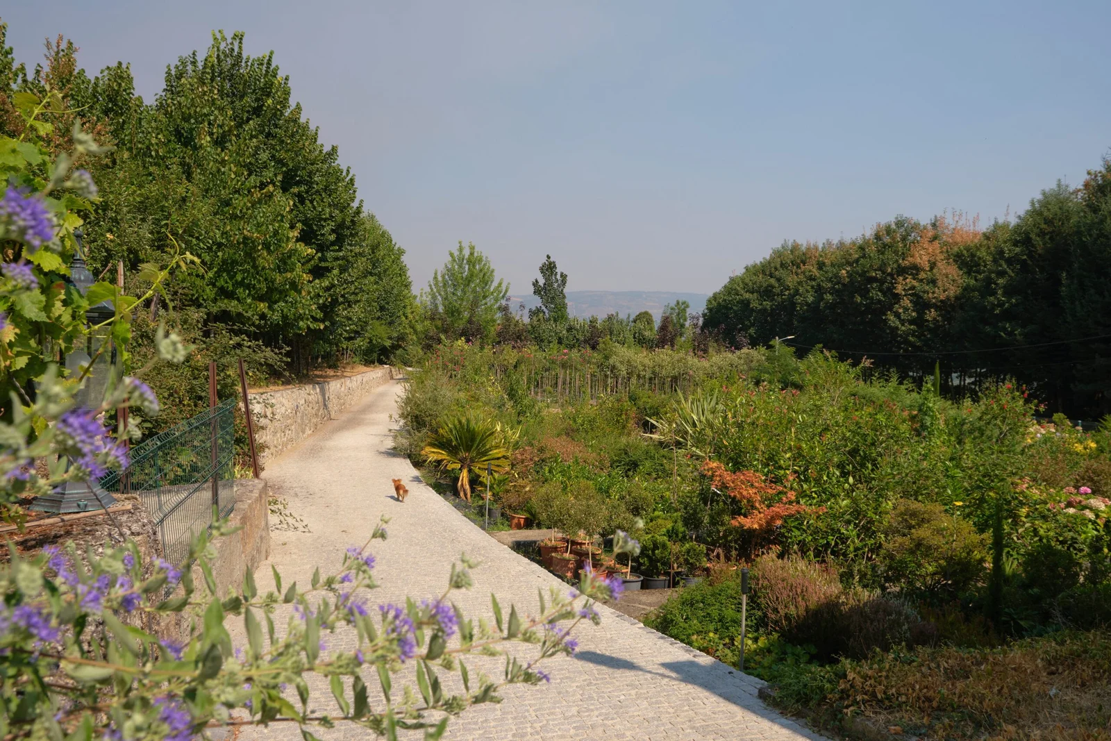 Gartenbau Bad Wurzach Header