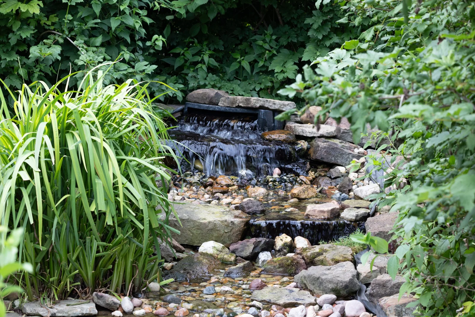 Gartenbau Bad Wurzach Wasser