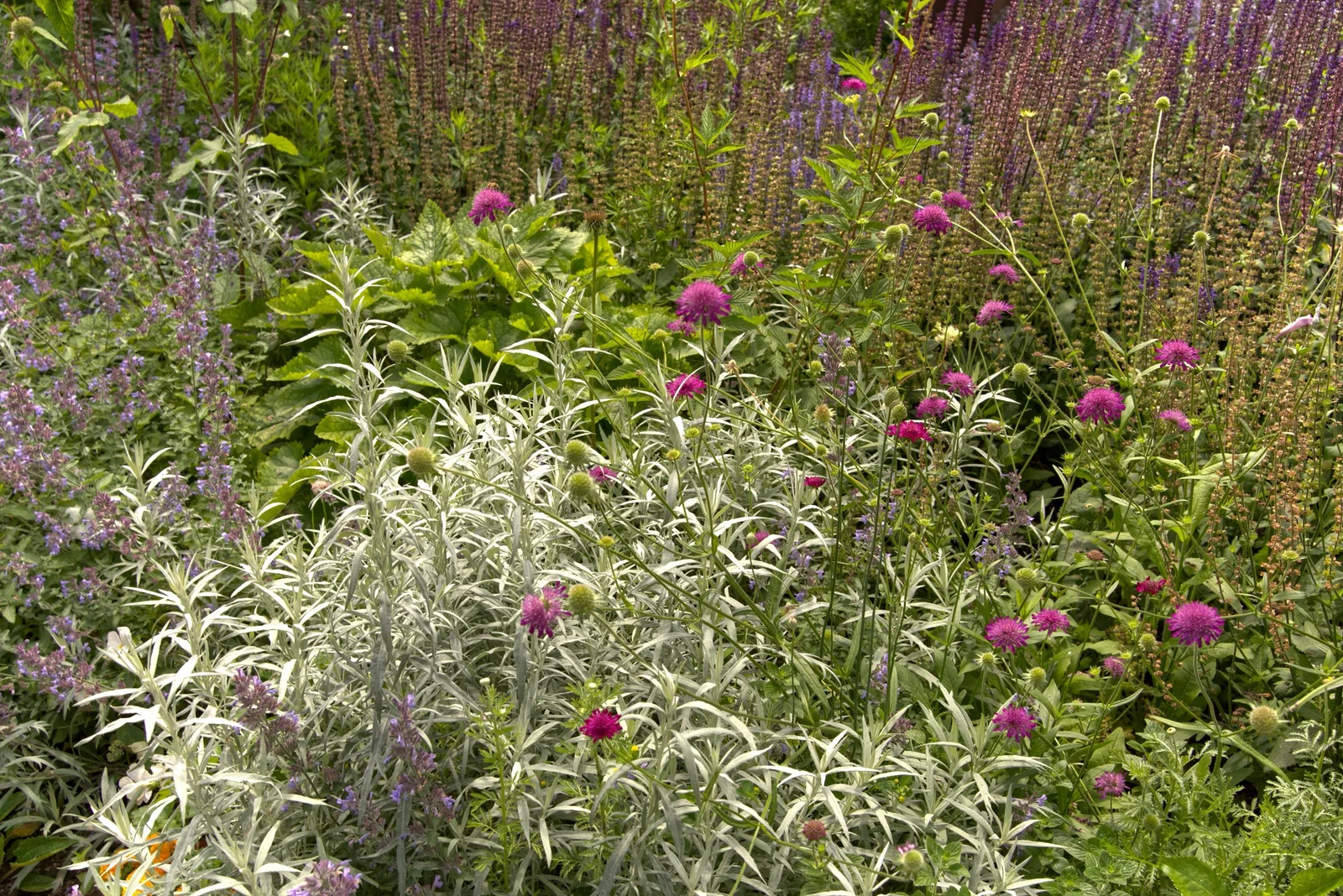 Gartenbau Weissenau Sträucher