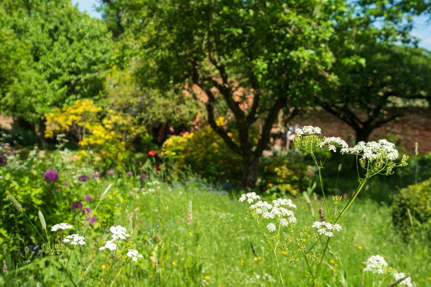 Ein grüner Garten