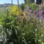 gartengestaltung
