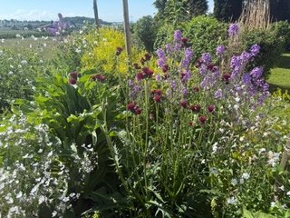 ökologische Gartengestaltung Header