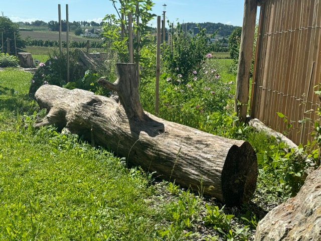 garten deko ideen Baumstamm