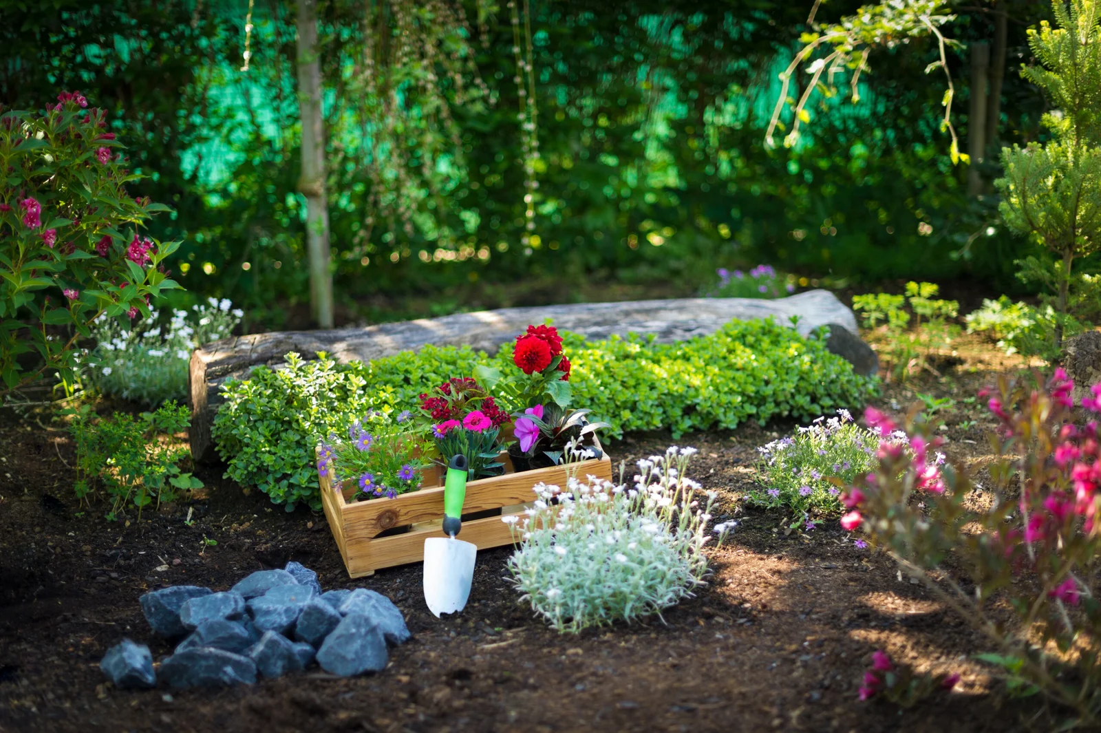 Kompost im Garten schattiger platz