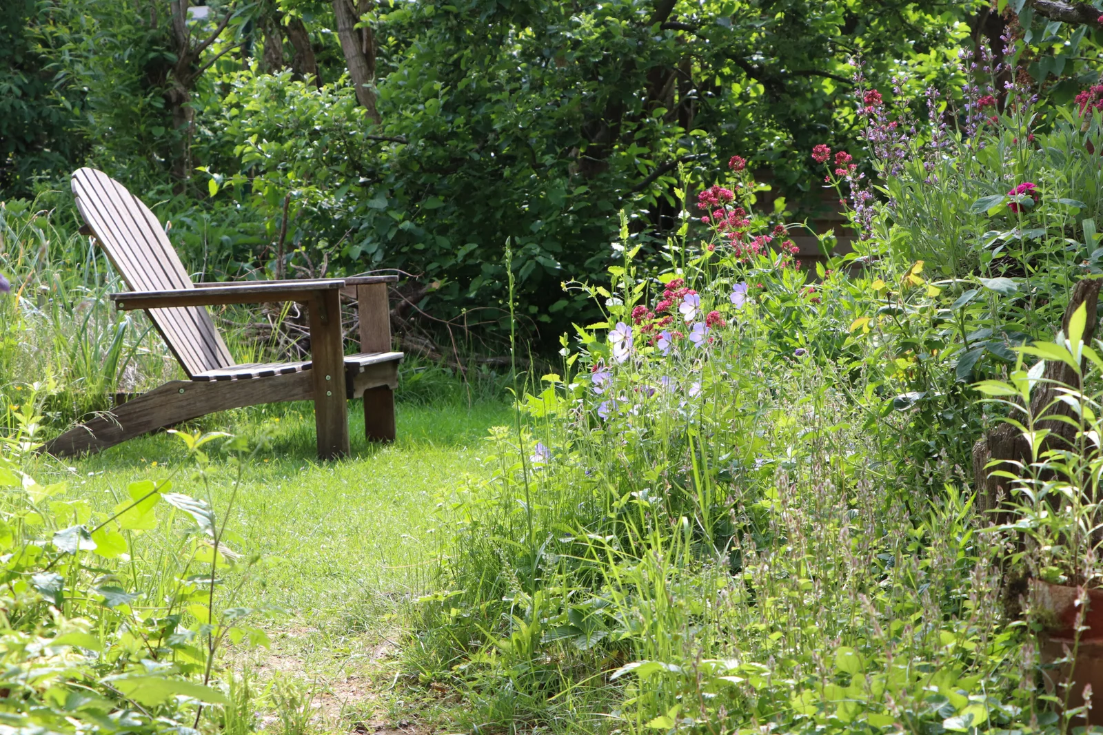 Naturnaher Garten Friedrichshafen Stuhl