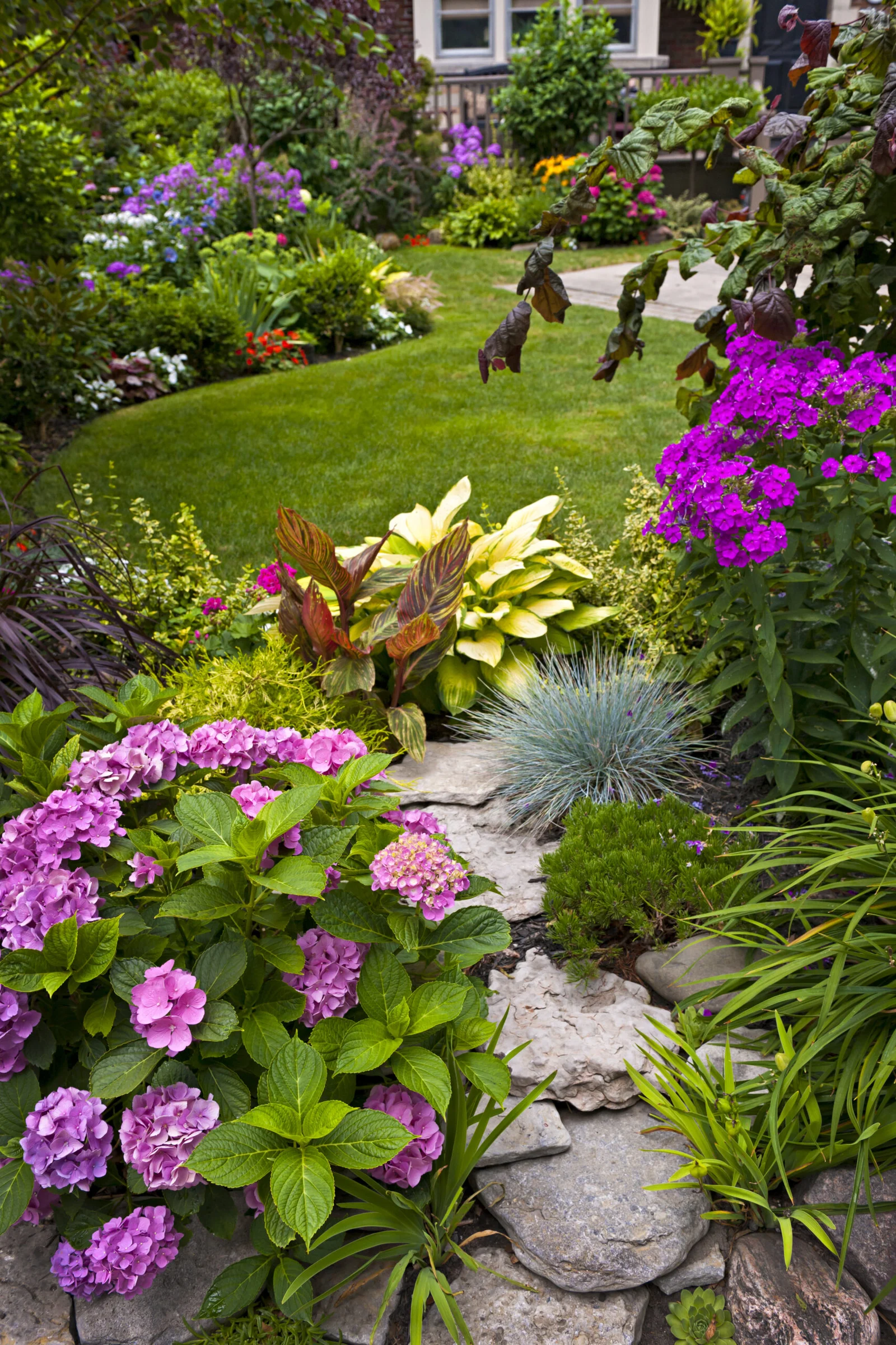 Sichtschutz im Garten mit Pflanzen sauberer Natur Garten