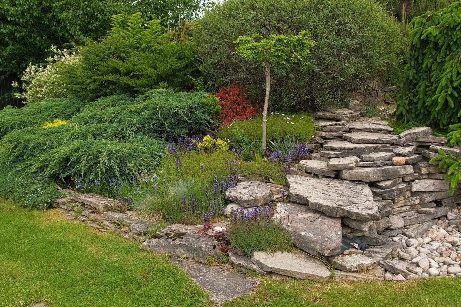 naturnaher garten friedrichshafen
