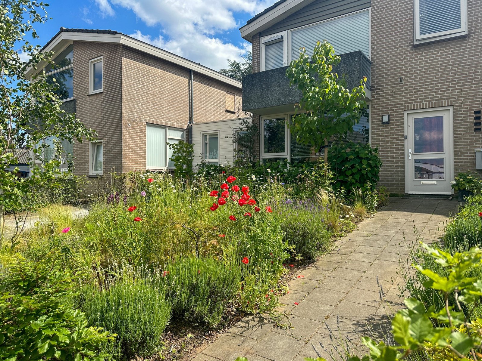 gartenpflege