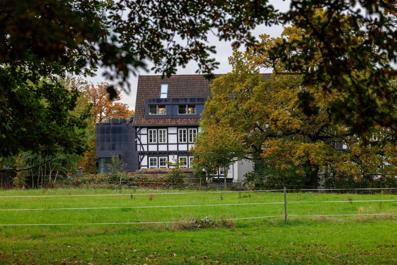ökologische gartengestaltung