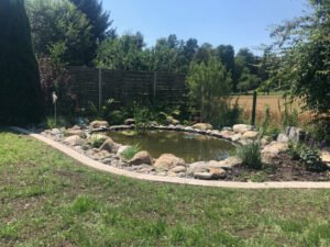 Referenz Teichpflege