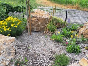 Mediteraner naturnaher Garten