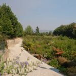 gartenbau wangen