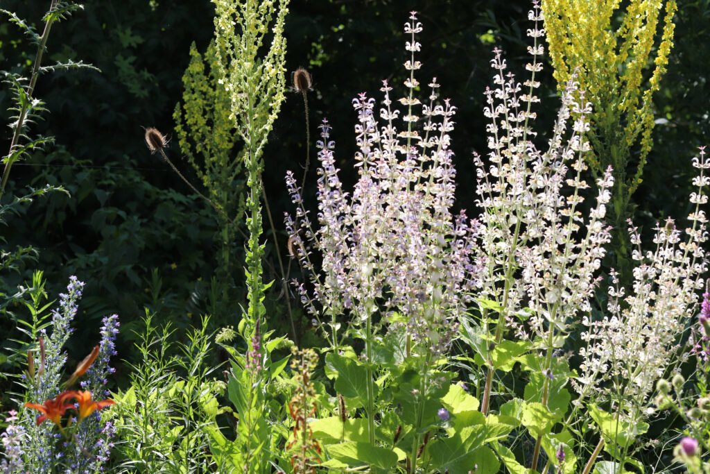 Gartenbau Vogt