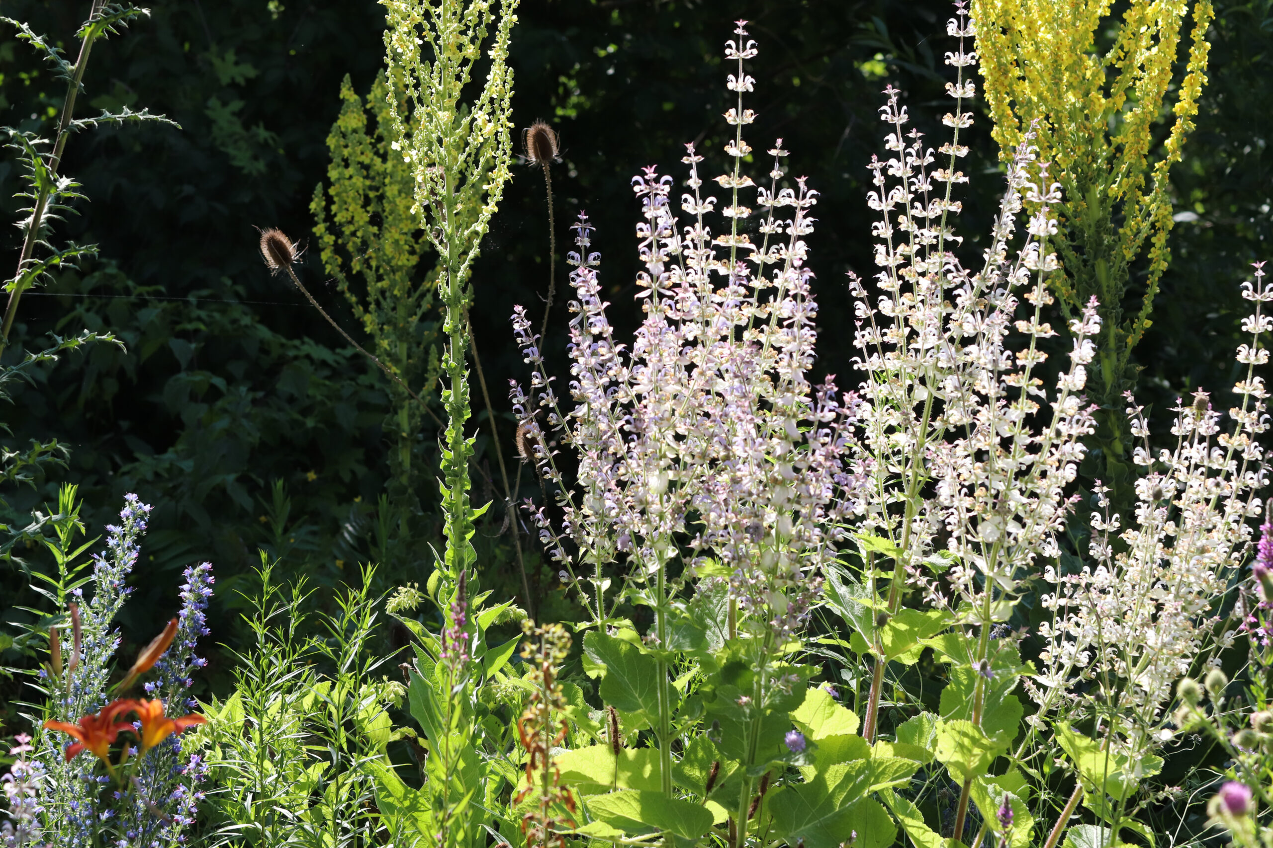 Gartenbau Oberschwaben